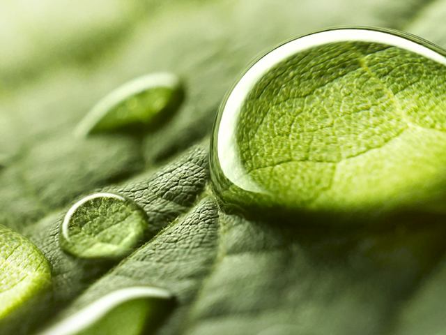Sustainable, innovative eco packaging solutions